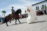 JALEO EVENTOS SEVILLA DJ´s ANIMADORES PARA BODAS  foto 1