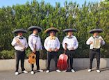Mariachi Dominguez en Bilbao  foto 2