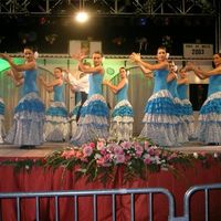 BALLET FLAMENCO/CLASICO ESPAÑOL VICENTE ALEIXANDRE_0