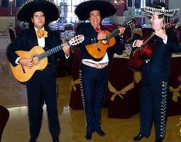 Mariachi del sur_0