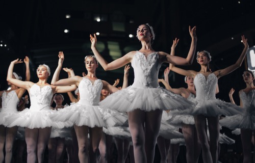 Danza: Grupos de Danza Clásica, Folclórica, Contemporánea, Tango, Danza del Vientre, Bailarinas, etcétera.